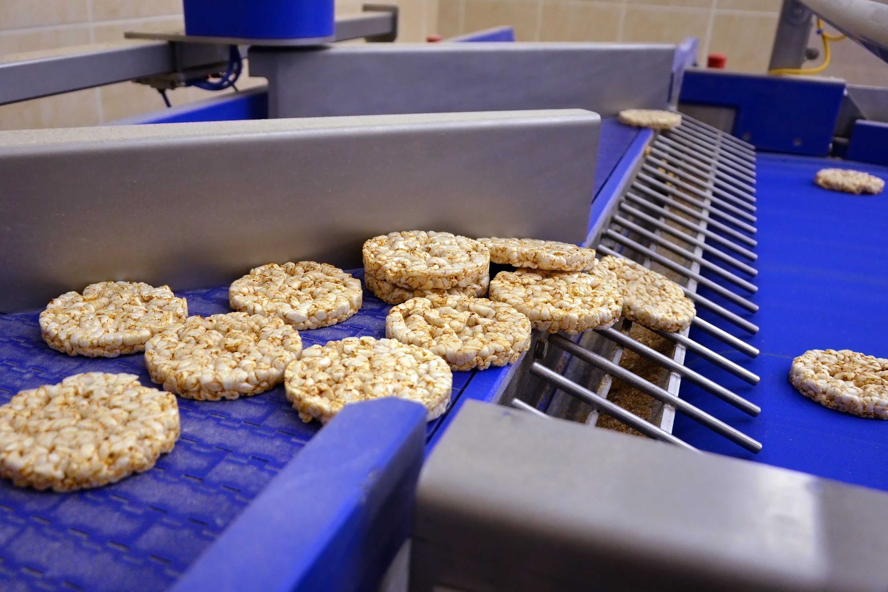 MLT - marché - agroalimentaire